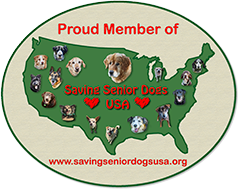 Saving senior dogs